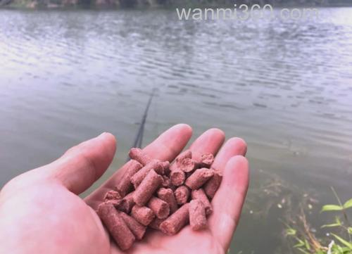 用什么鱼饵打窝好