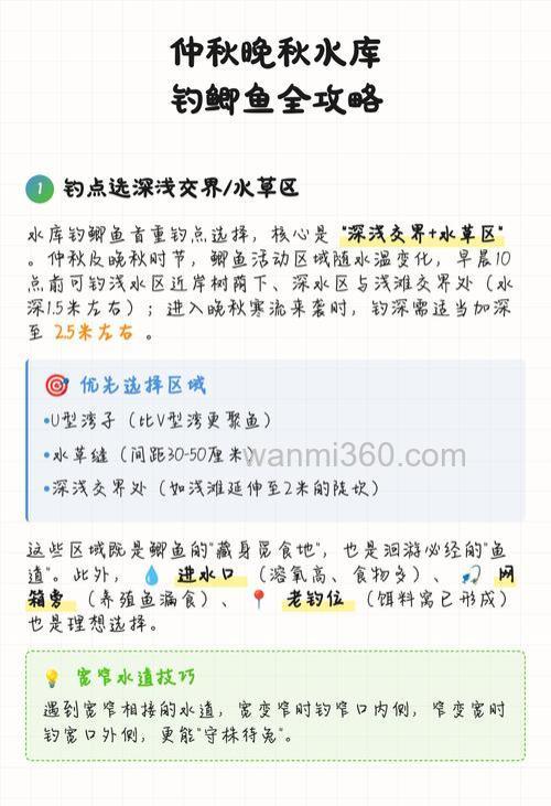 仲秋如何钓鲫鱼?