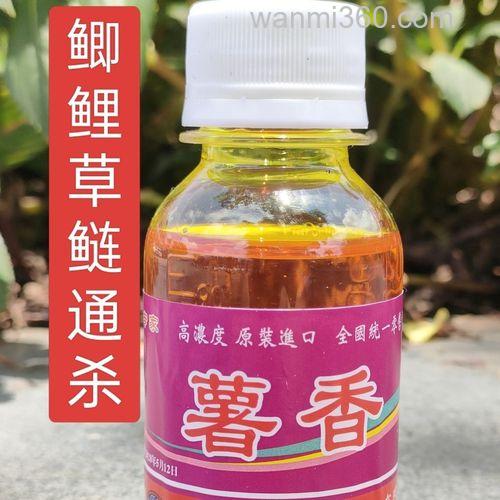 薯诱钓草鱼怎么样?