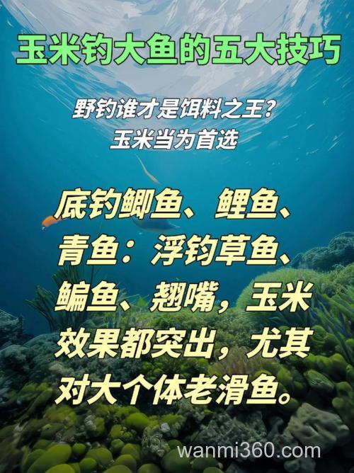 五月份用玉米钓鱼行吗？