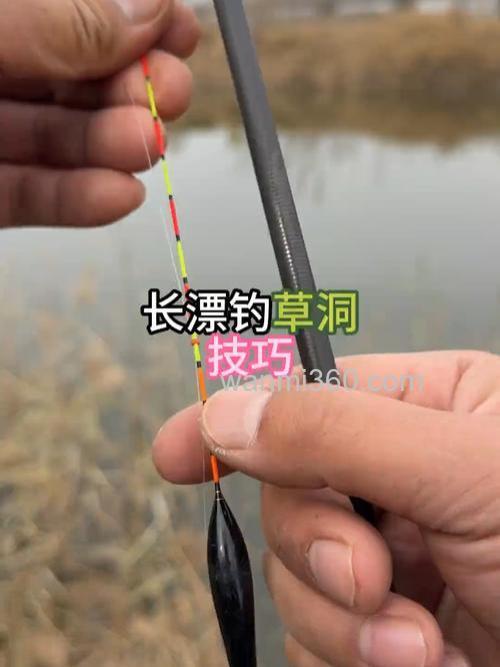 松子钓鱼的正确方法？