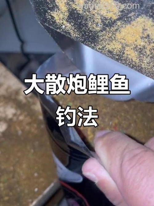 鲤鱼饵又软又粘怎样开饵?
