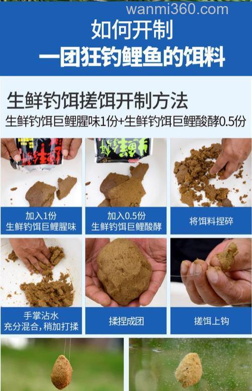 大豆粉钓鲤鱼绝密配方？