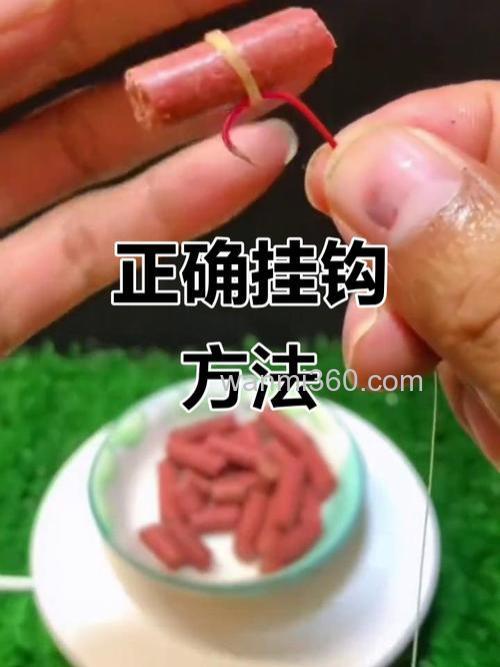 商品鱼饵怎么挂钩图片