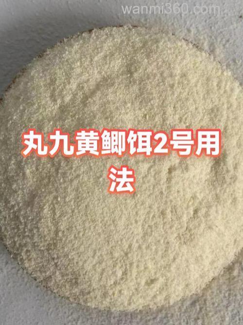 丸九黄鲫怎么用