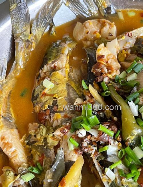 黄姑鱼美味密码:探寻其好吃奥秘与烹饪妙法