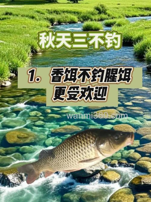 秋天如何钓鱼最好?