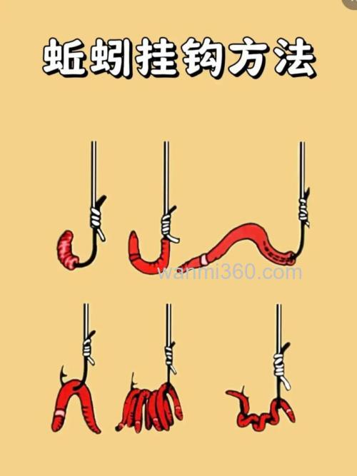 蚯蚓怎么挂才能钓上一斤的鱼?
