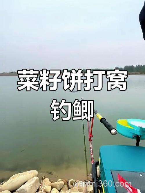 用油菜饼怎么钓鱼