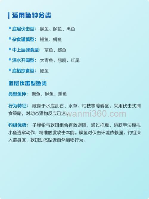 德州钓组适用鱼种全解析,钓鱼新手必看!