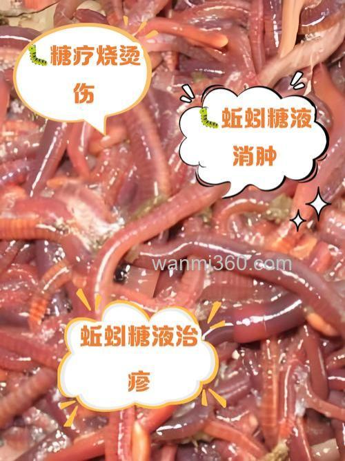蚯蚓加糖溶化成液体后作为鱼饵比较好用吗？