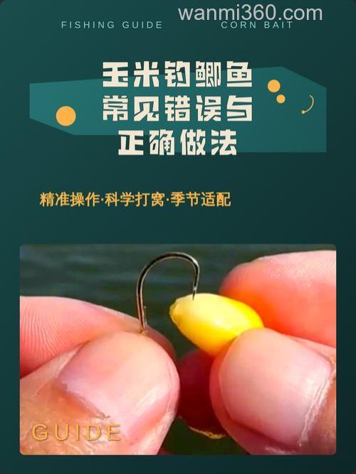 如何用玉米钓鲫鱼