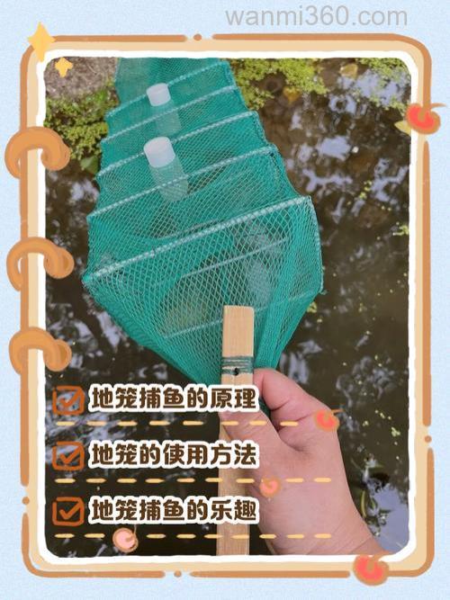 地笼怎么抓黄鳝