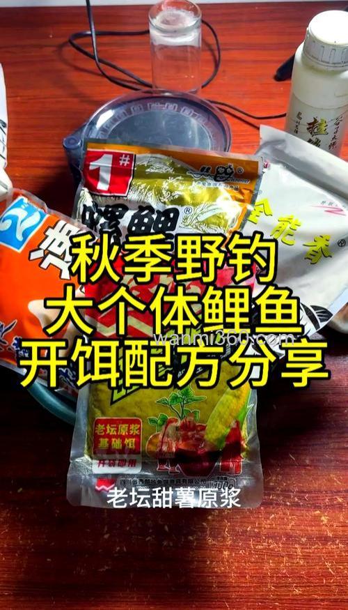 北方秋季野钓鲤鱼饵料?