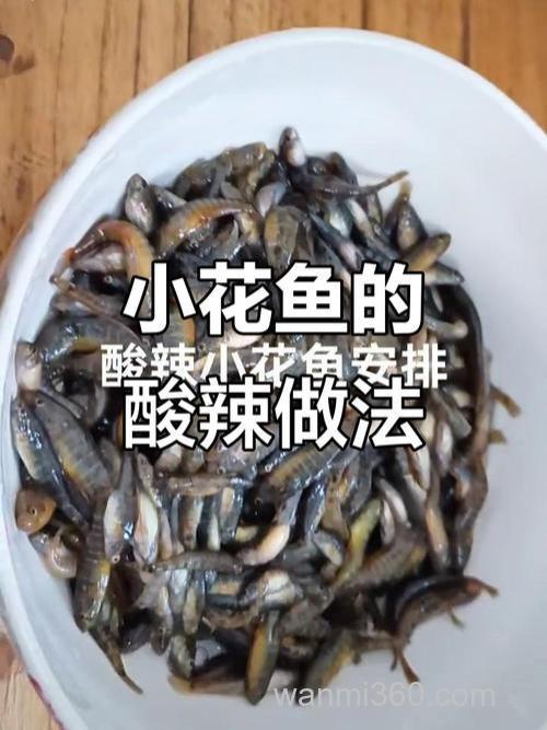 小花鱼用什么饵料?
