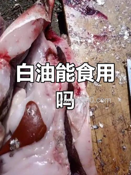 鱼肚子里的白油怎么吃?