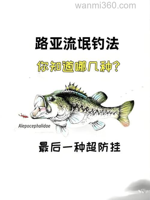 一文读懂:独特钓法全解析