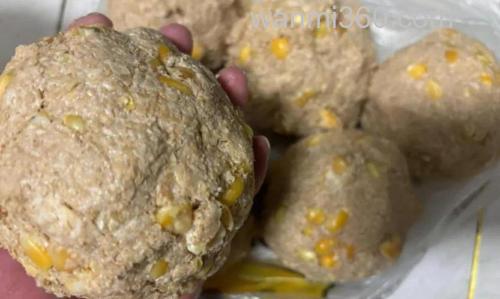嫩玉米拌饵料打窝?