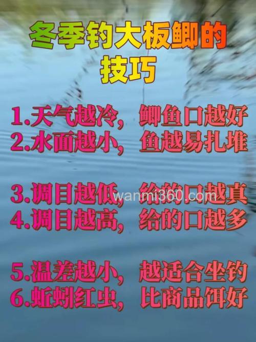 冬季野钓大板鲫的四点技巧
