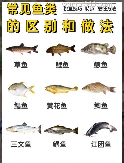 4月份能不能钓到草鱼和鲤鱼!如果能,用什么饵料比较好呢?