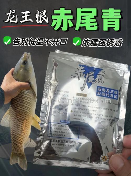 龙王恨赤尾青怎么样开饵?