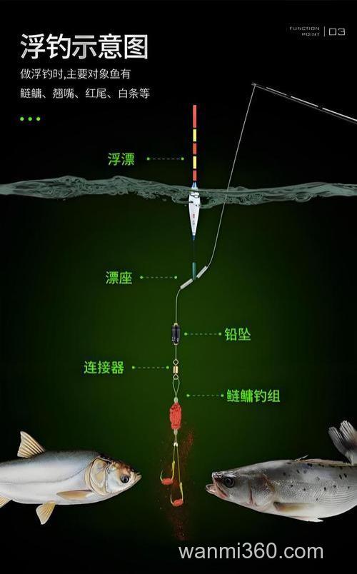 手竿钓鲢鳙如何正确抓口?