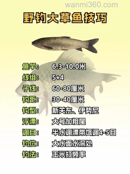 什么温度适合钓草鱼,为什么?