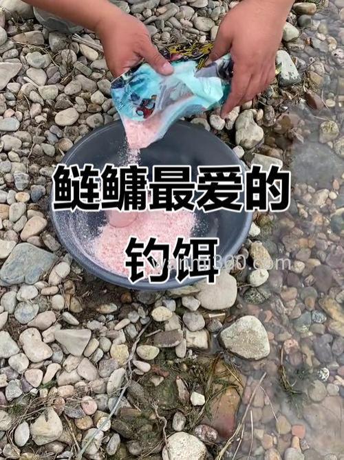 鲢鱼喜欢吃什么饵？