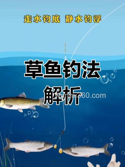 现在钓草鱼,钓底好还是钓半水好?