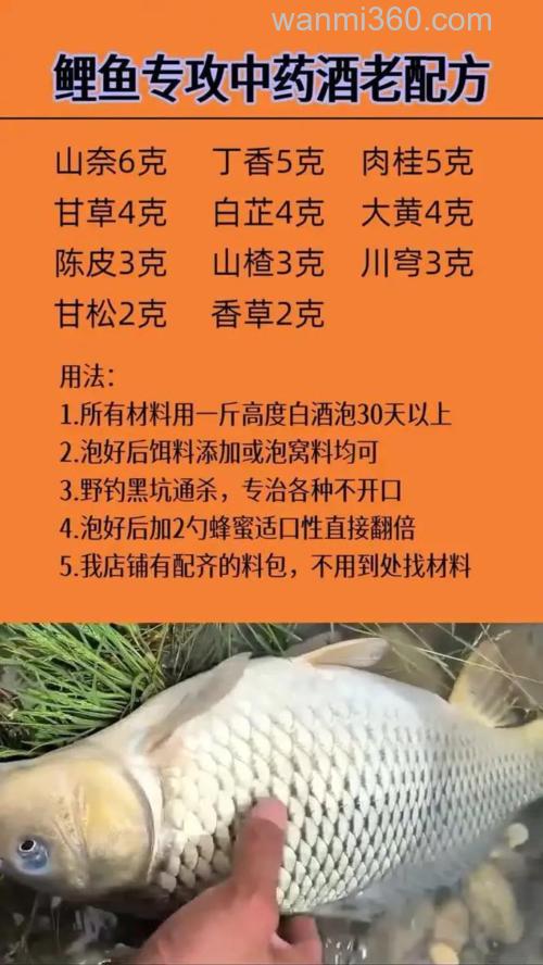 钓养殖鲤的好配方
