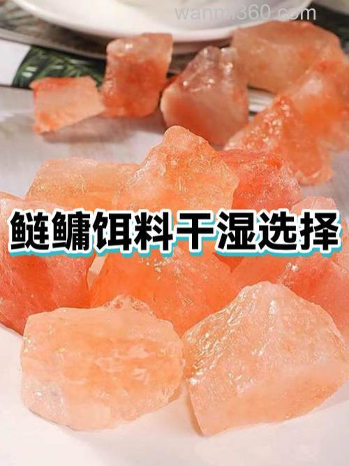 自制鲢鳙饵料怎么干燥保存?
