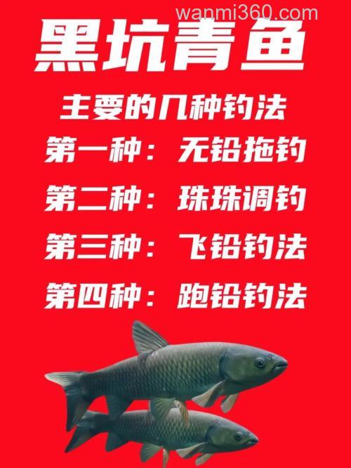 黑坑钓青鱼使用这两种钓法比钓底好太多
