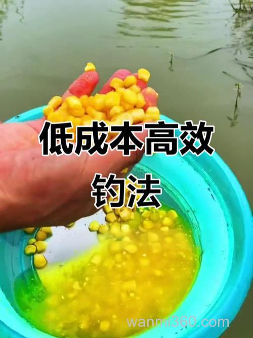 水库钓鱼玉米怎么配制底窝子