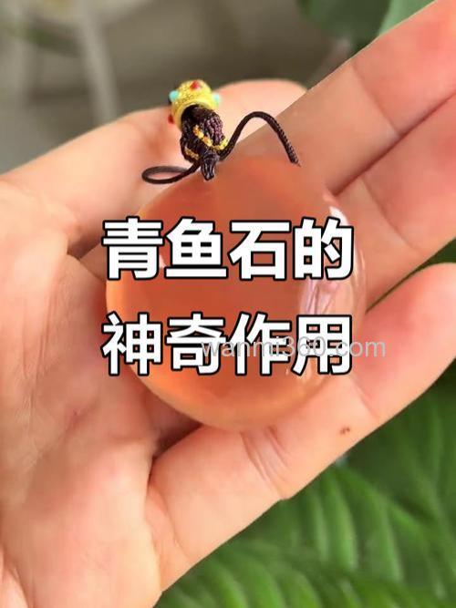 青鱼的宝藏:青鱼石