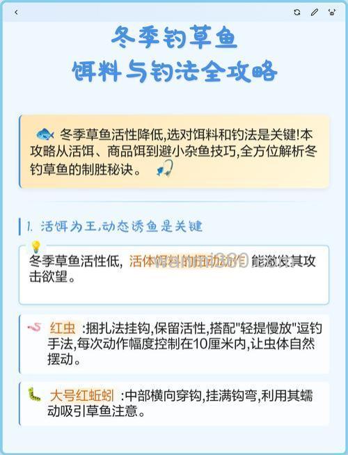 冬钓草鱼的最佳饵料?