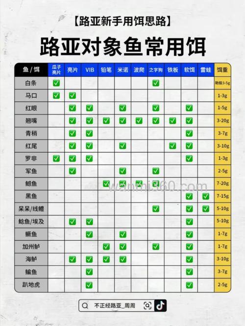 新手钓鱼应该买些什么装备?如何配鱼饵?
