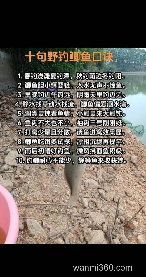 立春后别只盯着鲫鱼!钓鲤鱼秘籍在此,让你连杆爽到爆