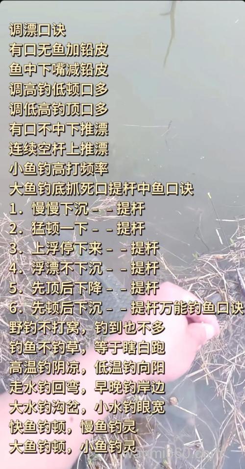 如何将传统钓和台钓结合