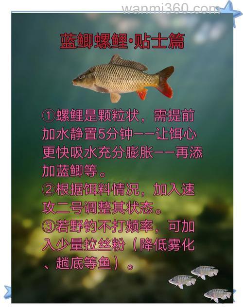 螺鲤2号钓鲫鱼怎么配？