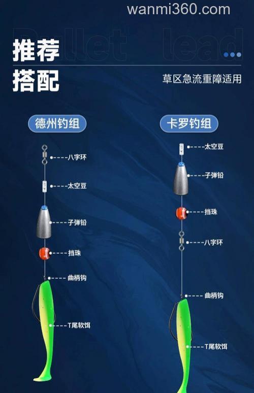 卡罗钓组大揭秘:它最适合钓哪些鱼?