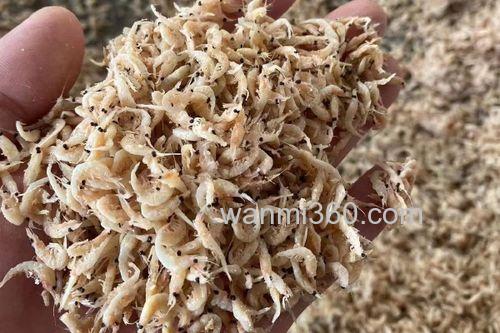 自己用虾皮做鱼饵最简单方法?