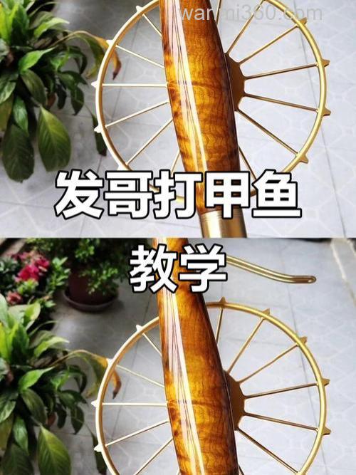 怎样打甲鱼