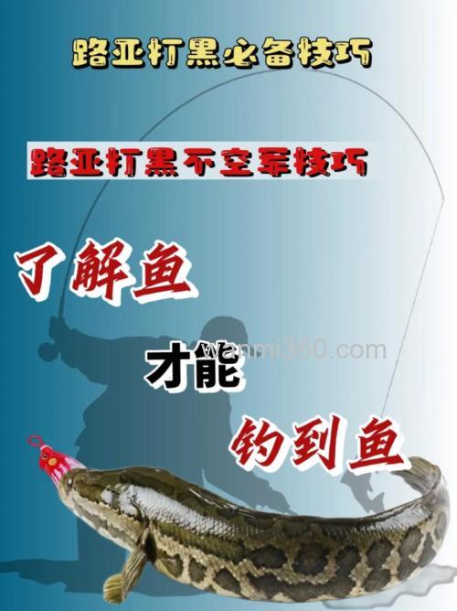 新手很轻松就可以学会的钓黑鱼技巧