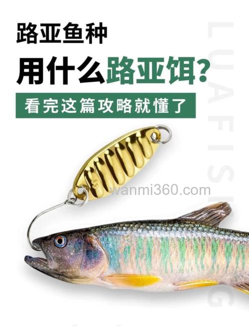 路亚诱鱼剂有用吗?