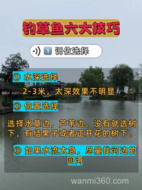 鱼塘钓草鱼最佳方法?