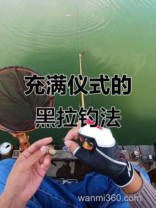 黑鱼用使用这样的方法垂钓效果好