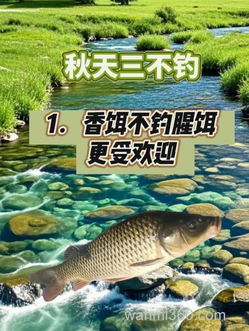 钓鱼的季节 什么季节钓鱼最好?