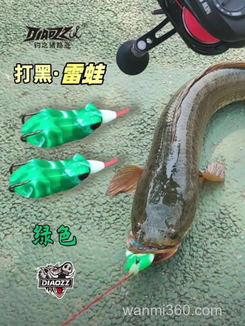 路亚钓黑鱼的第一步是引起注意,软蛙的配重很重要