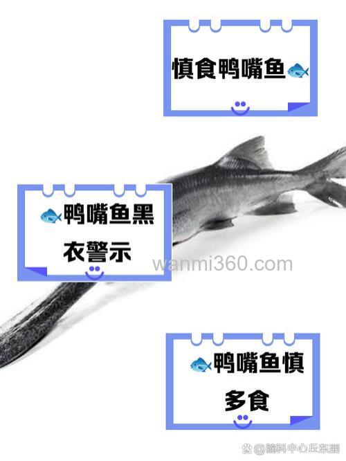 鸭嘴鱼吃小鱼吗?鸭嘴鱼吃什么饵料?
