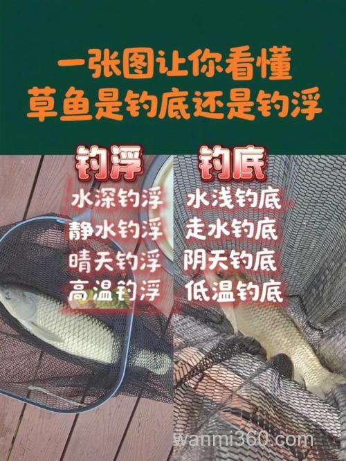 草鱼钓底还是钓浮饵料如何搭配?